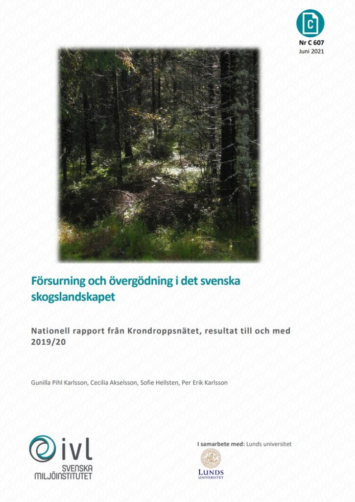 Framsida rapport -skogsmark